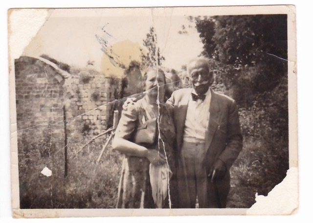 Cotran family papers